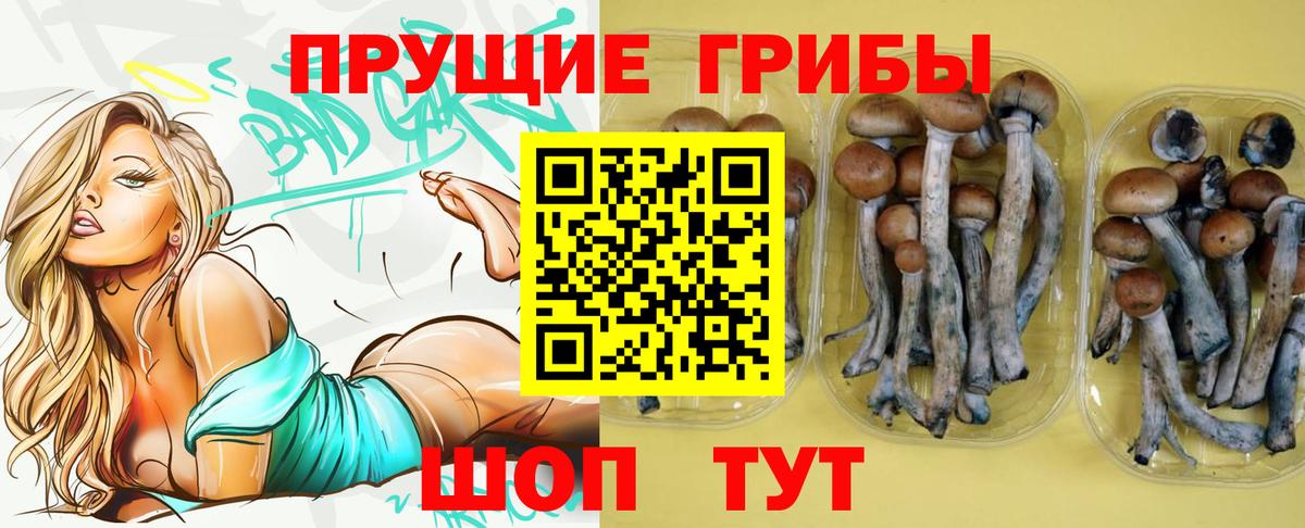 Саянск  Галлюциногенные грибы Psilocybine cubensis  цена наркотик  Вход с VPN 