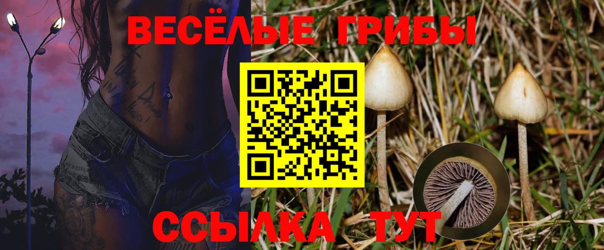 Псилоцибиновые грибы Magic Shrooms Саянск