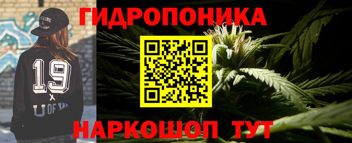 Конопля сатива  Каннабис VHQ  Каннабис LSD WEED  Шишки марихуана планчик  Вход с VPN  Саянск 